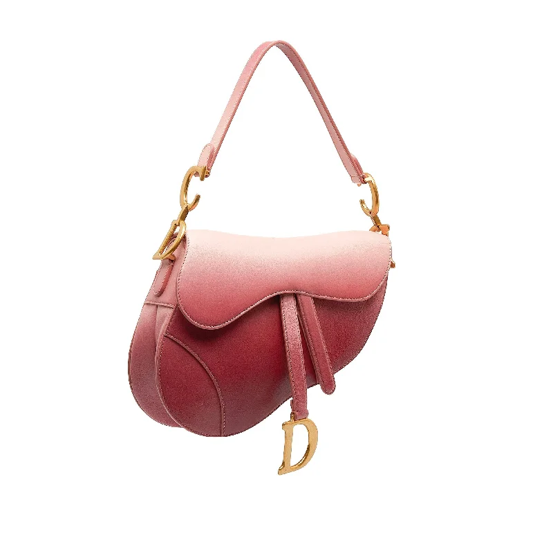 DIOR Ombre Saddle Shoulder Bag